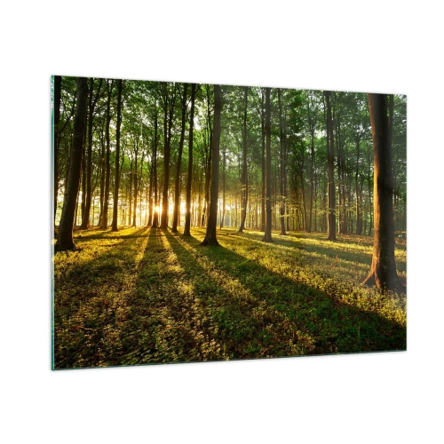Obraz na skle - Fotografie všetkých jarí - 100x70 cm