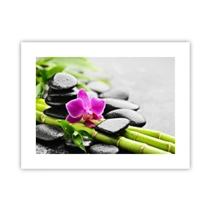 Plagát - V pokojnej rovnováhe - 40x30 cm