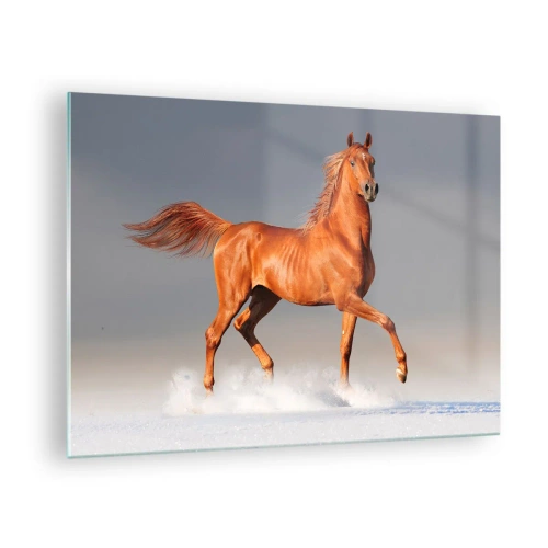 Obraz na skle - Cválajúci kôň proti jasnej oblohe - 70x50cm - Tancujúca elegancia - Moderná nástenná dekorácia do obývacej izby a spálne ARTTOR