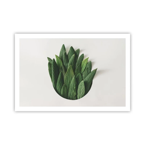 Plagát - Neukojiteľná zvedavosť - 91x61 cm