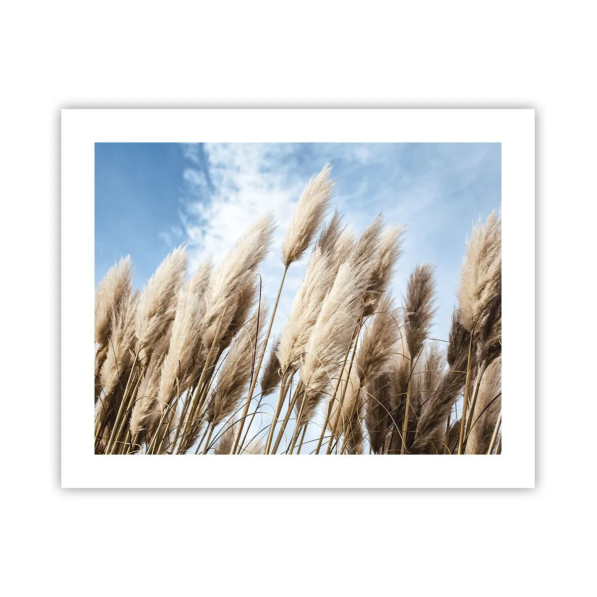 Plagát - Slnečné a veterné pohladenie - 50x40 cm