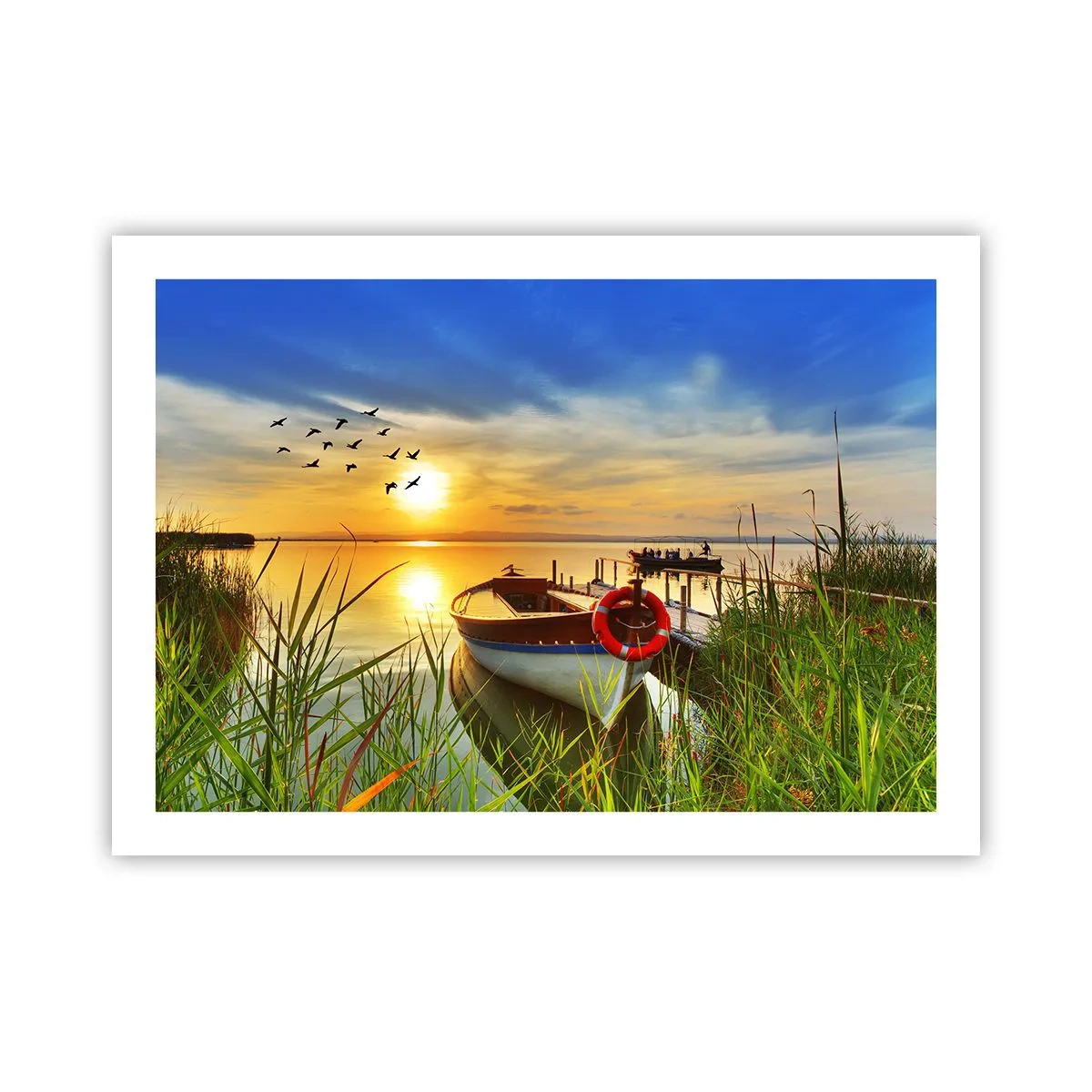 Plagát - Kormorány už odlietajú - 70x50 cm