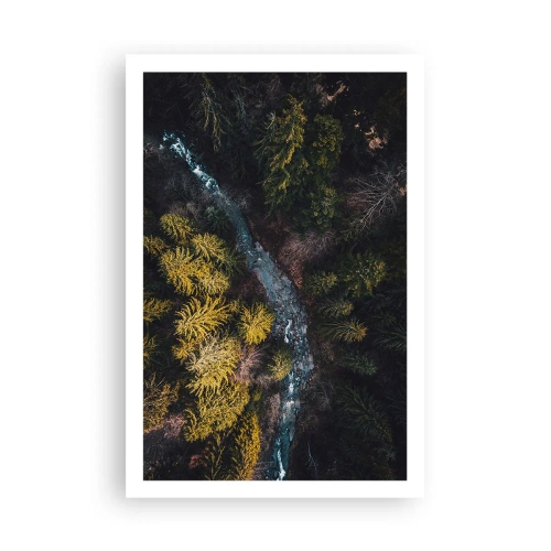 Plagát - Rýchlo, stále rýchlejšie - 61x91 cm