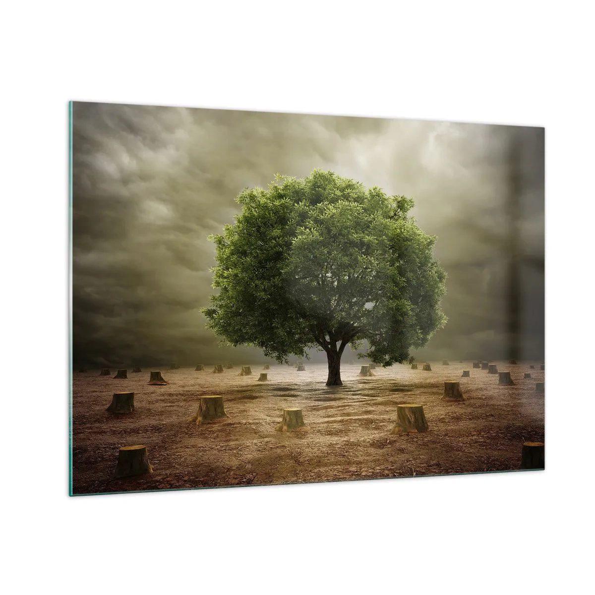 Obraz na skle - Celá nádej - 100x70 cm