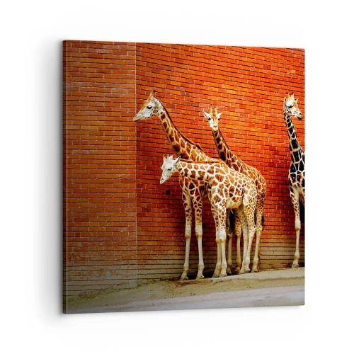 Obraz na plátne - Vidíte nejaký agát? - 60x60 cm