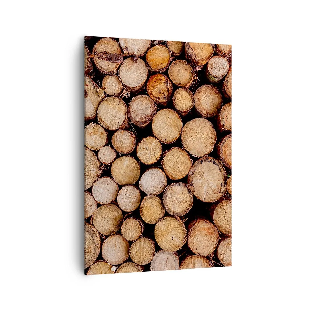 Obraz na plátne - Nový začiatok - 70x100 cm