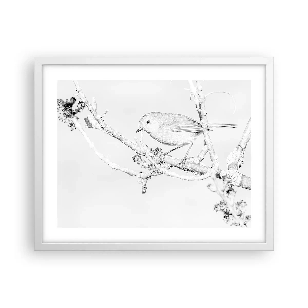 Plagát v bielom ráme - Zimné ráno - 50x40 cm