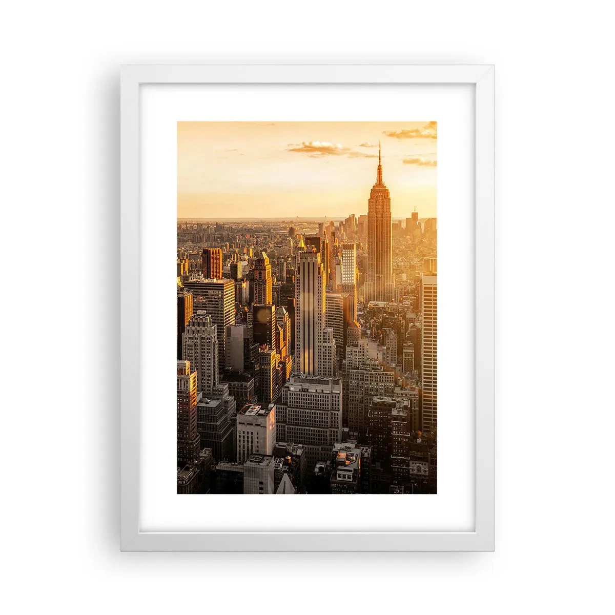 Plagát v bielom ráme - Rast na slnku - 30x40 cm