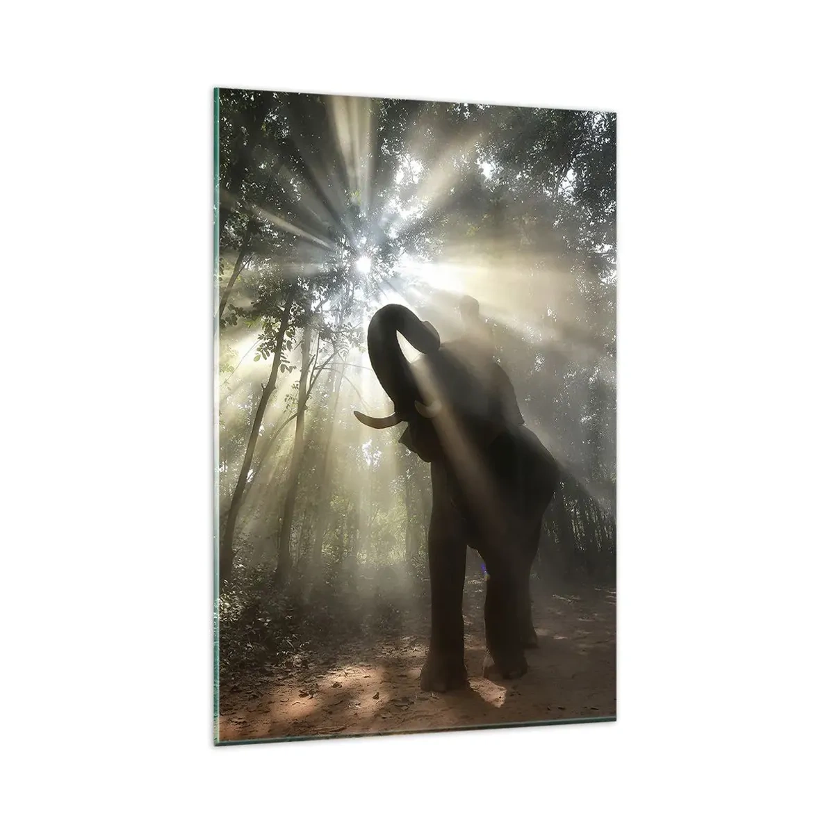 Obraz na skle - Pod šťastnou hviezdou - 80x120 cm
