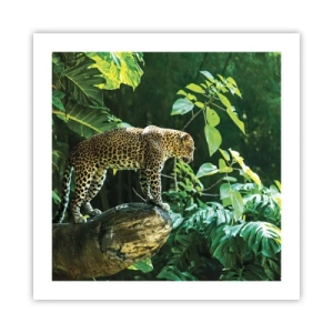 Plagát - Na lov? - 50x50 cm