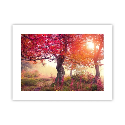 Plagát - Šialenstvo rozkvetu - 40x30 cm