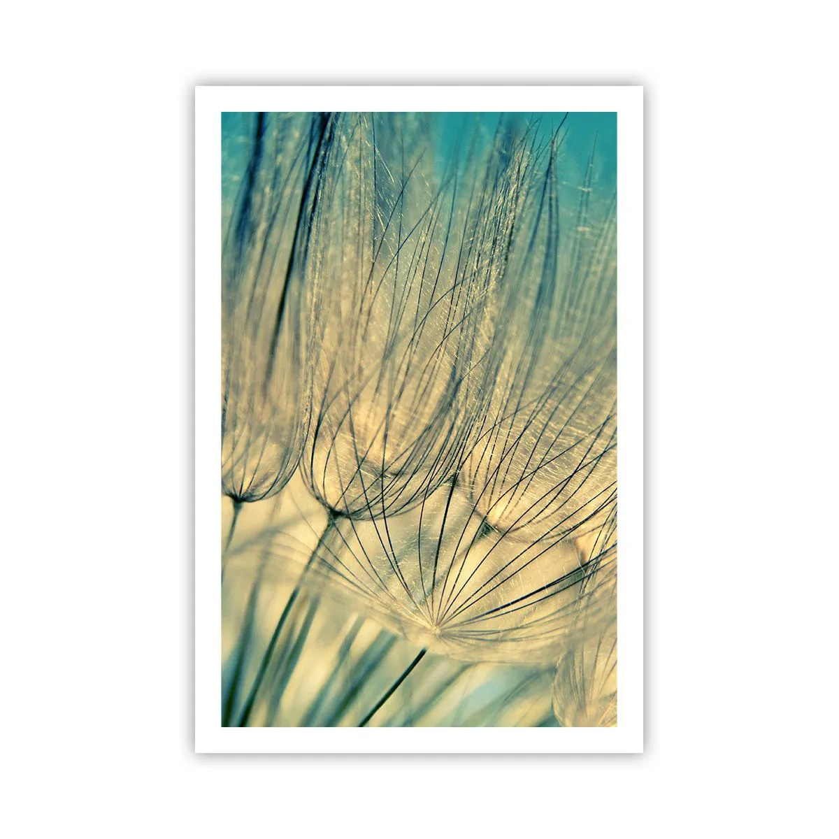 Plagát - Čakanie na vietor - 61x91 cm