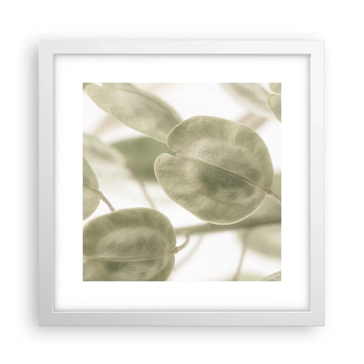 Plagát v bielom ráme - Na začiatku bolo lístie… - 30x30 cm