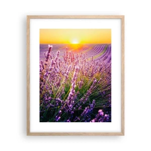 Plagát v ráme zo svetlého duba - Voňavý lán - 40x50 cm