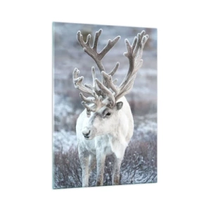 Obraz na skle - Slnečný portrét - 50x70 cm