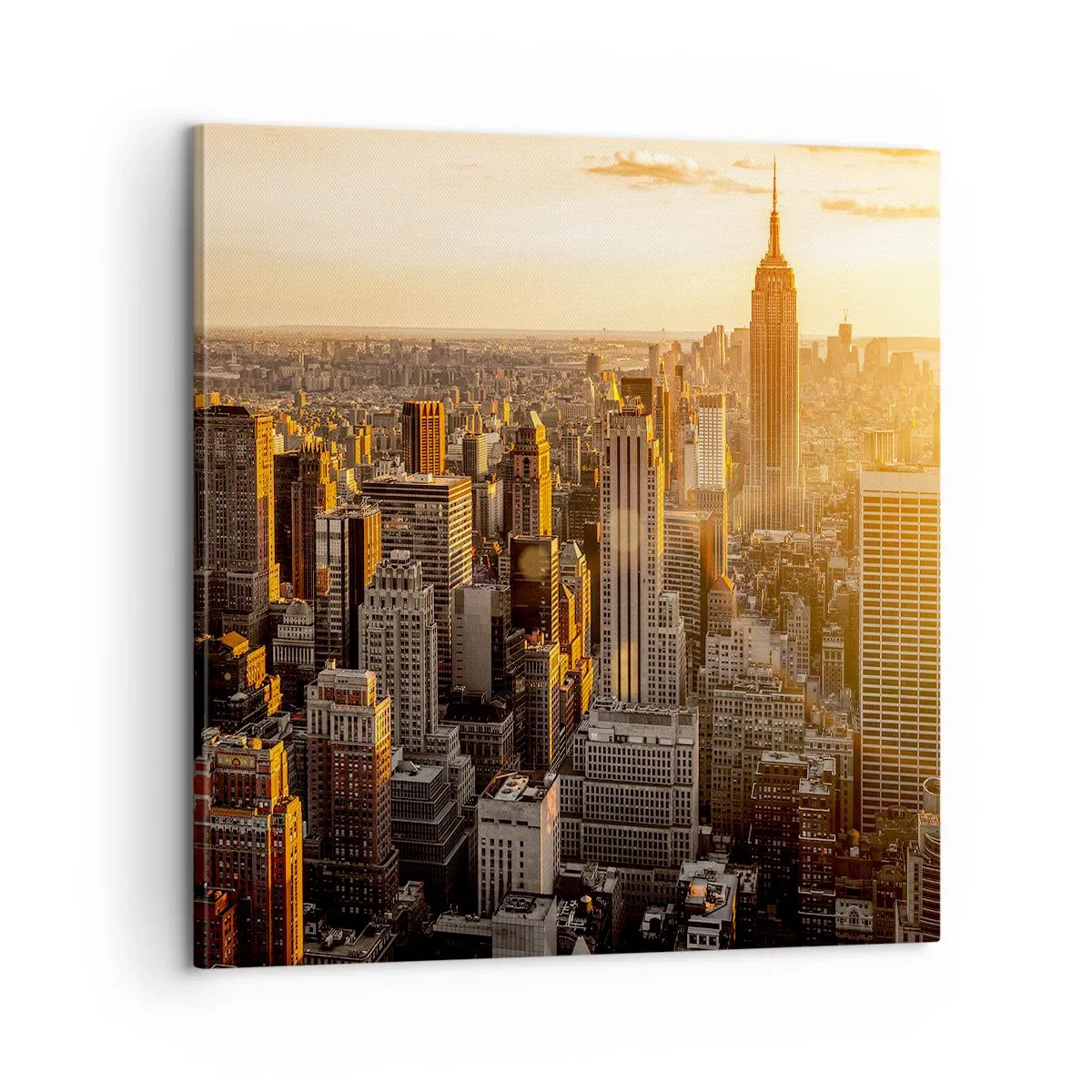 Obraz na plátne - Rast na slnku - 60x60 cm