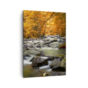 Obraz na plátne - Potok v zlatom lese - 50x70 cm