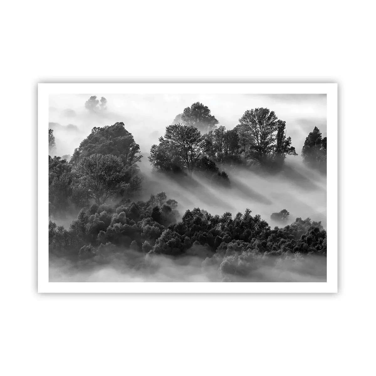 Plagát - Prebúdzanie zo spánku - 100x70 cm