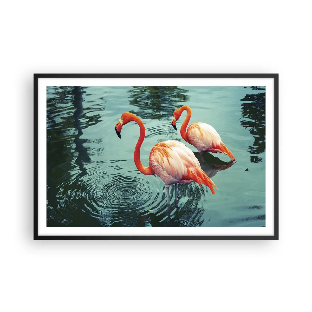 Plagát v čiernom ráme - Teraz sme v móde - 91x61 cm