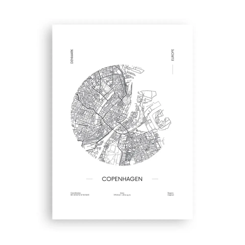 Plagát - Anatómia Kodane - 50x70 cm