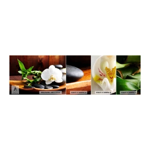 Vzorka samolepiacej fototapety Deluxe Sticker - Oddajte sa dotyku prírody - Kvety, Orchidea, Orchidea - 100x30 cm