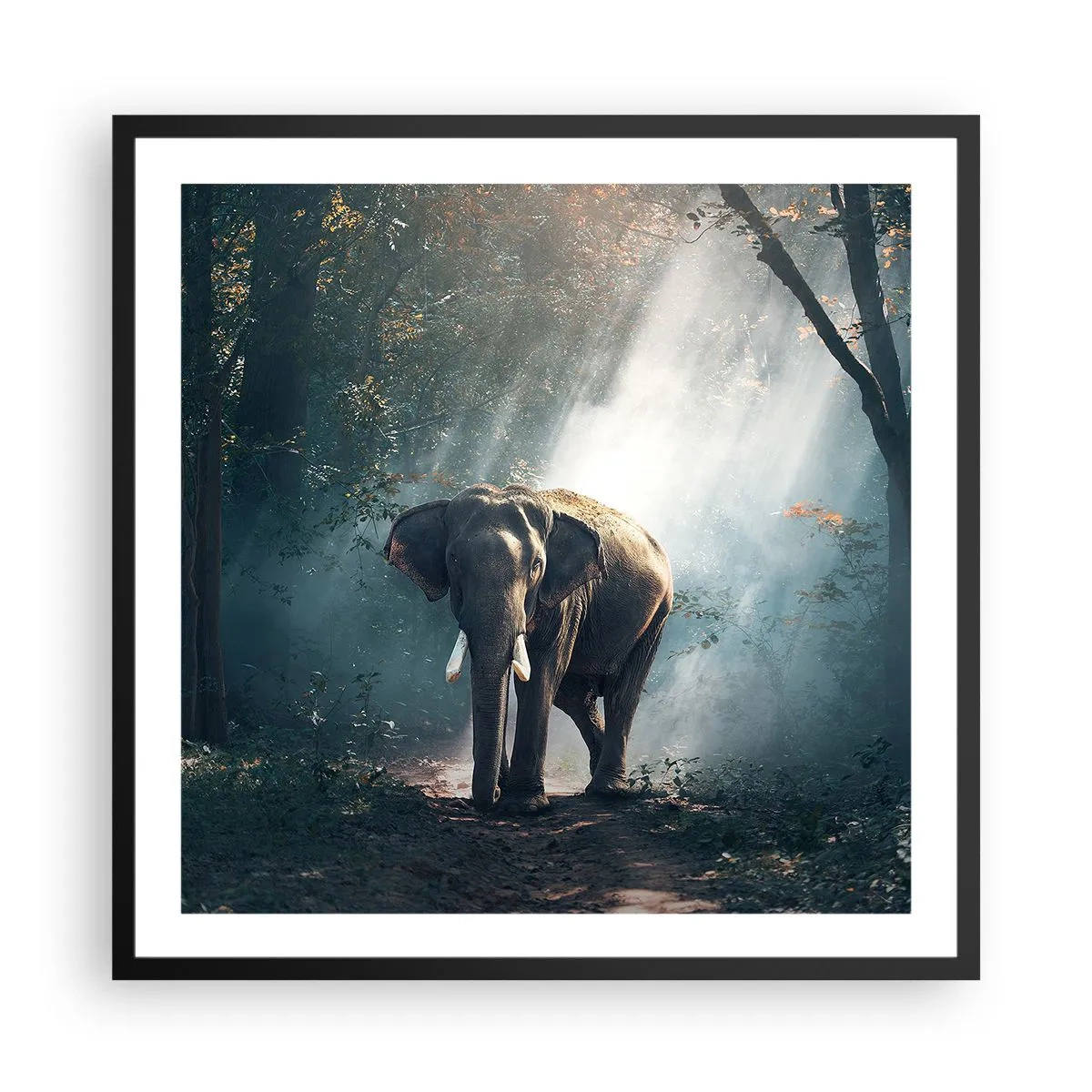 Plagát v čiernom ráme - Pokojná prechádzka - 60x60 cm