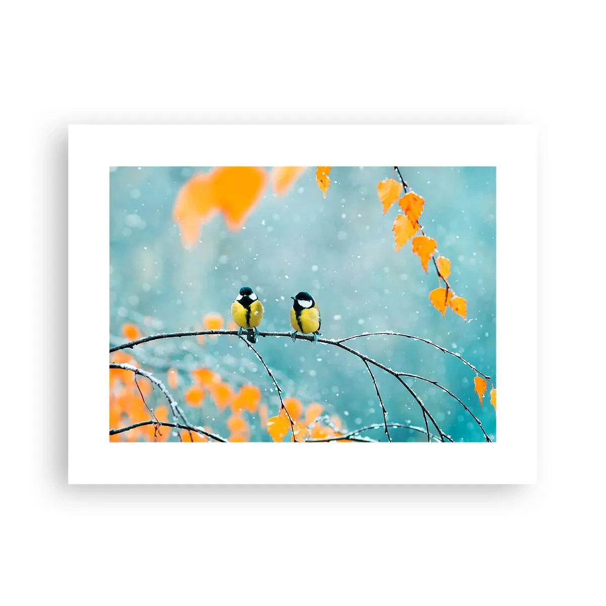 Plagát - Vtáčie klebety - 40x30 cm