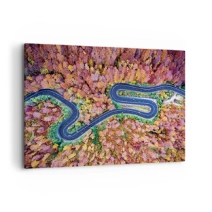 Obraz na plátne - Kľukatá cesta lesom - 100x70 cm