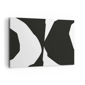 Obraz na plátne - Positive-negative - 100x70 cm