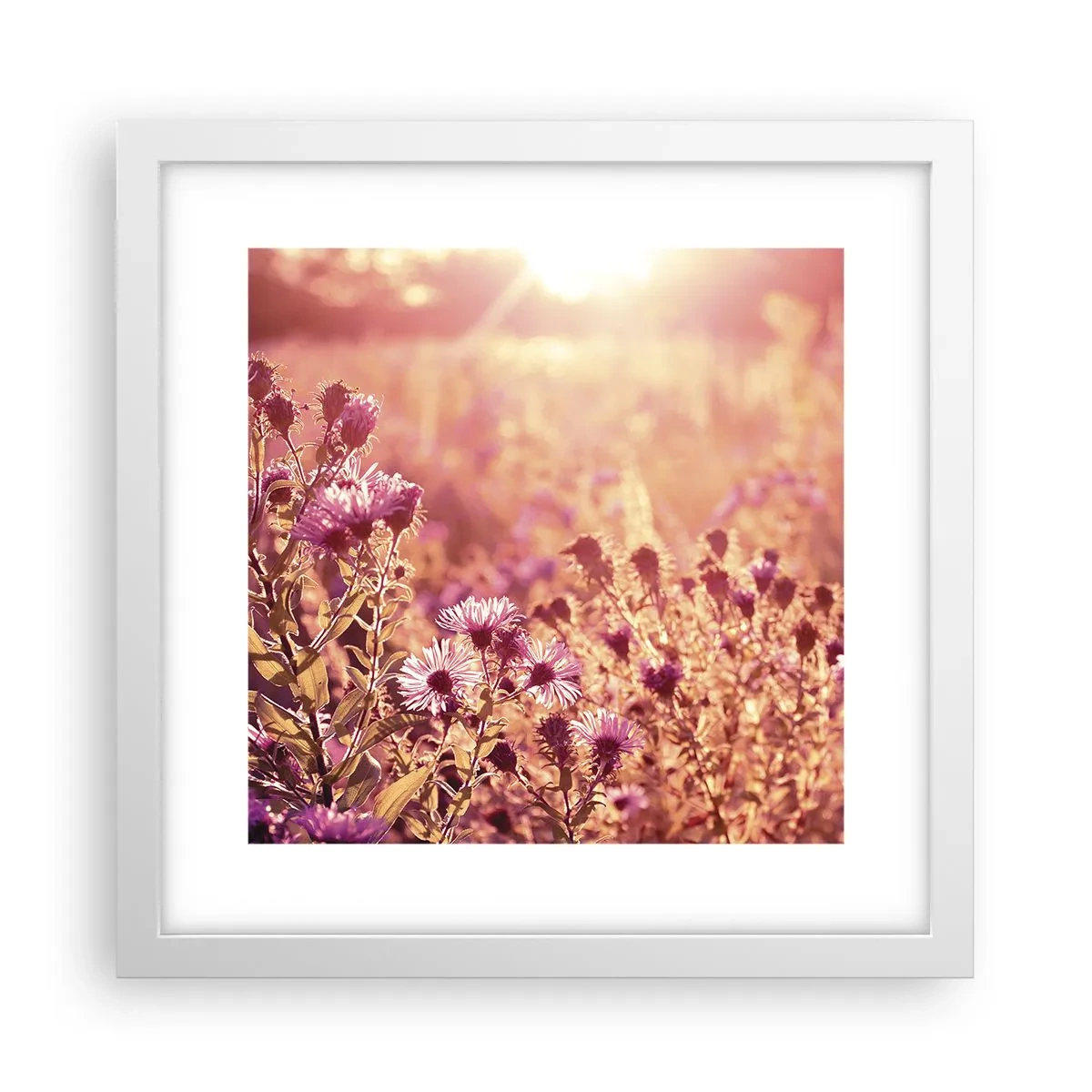 Plagát v bielom ráme - Než skončí leto - 30x30 cm