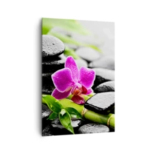 Obraz na plátne - V pokojnej rovnováhe - 70x100 cm