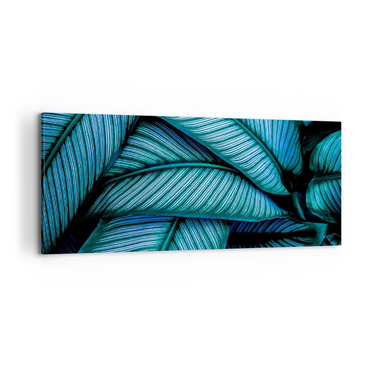 Obraz na plátne - Čiary života - 100x40 cm