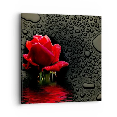Obraz na plátne - Červené a čierne - 40x40 cm