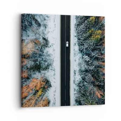 Obraz na plátne - Cez zimný les - 30x30 cm