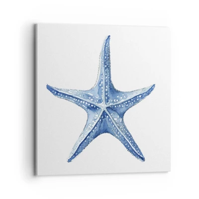Obraz na plátne - Hviezda mora - 70x70 cm