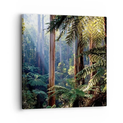 Obraz na plátne - Poviedka lesa - 40x40 cm