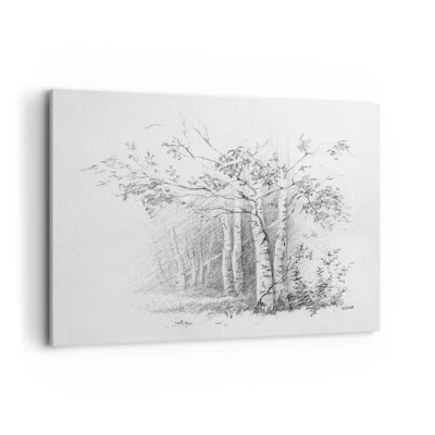 Obraz na plátne - Svetlo brezového lesa - 100x70 cm