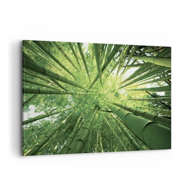 Obraz na plátne - V bambusovom háji - 120x80 cm