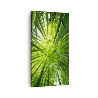 Obraz na plátne - V bambusovom háji - 55x100 cm