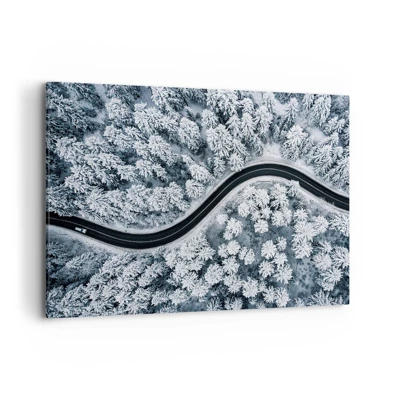 Obraz na plátne - Zimným lesom - 100x70 cm