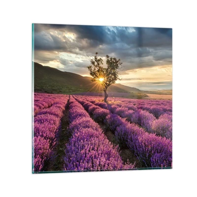 Obraz na skle - Aróma vo fialovej - 60x60 cm