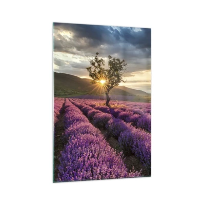 Obraz na skle - Aróma vo fialovej - 70x100 cm