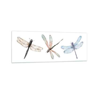 Obraz na skle - Beztiažové vážky - 140x50 cm