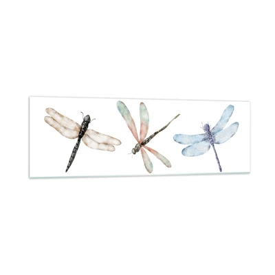 Obraz na skle - Beztiažové vážky - 160x50 cm