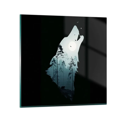 Obraz na skle - Hlas lesnej noci - 40x40 cm