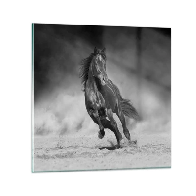 Obraz na skle - Hodné samotného emira - 50x50 cm