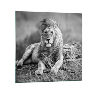 Obraz na skle - Kráľovská siesta - 40x40 cm