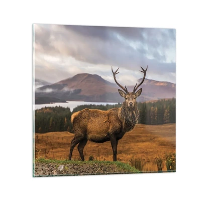 Obraz na skle - Majestát prírody - 50x50 cm