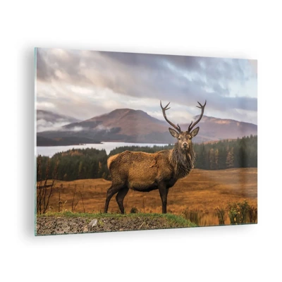 Obraz na skle - Majestát prírody - 70x50 cm