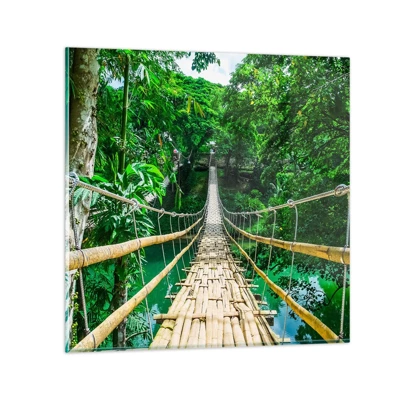 Obraz na skle - Opičí most nad zeleňou - 50x50 cm